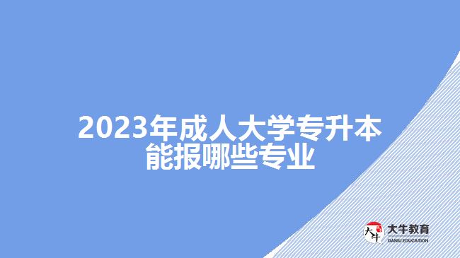 2023年成人大學(xué)專升本能報(bào)哪些專業(yè)