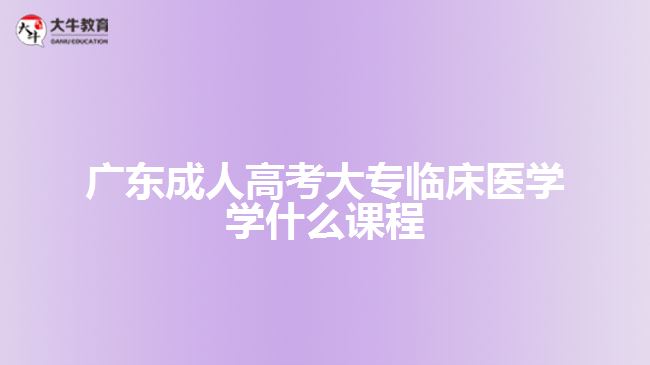 廣東成人高考大專臨床醫(yī)學(xué)學(xué)什么課程