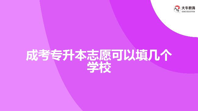 成考專升本志愿可以填幾個學(xué)校