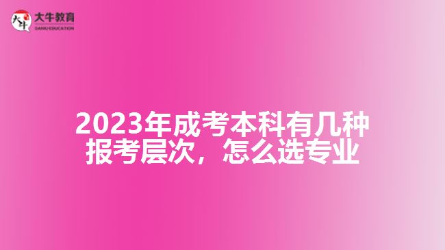 成考本科有幾種報(bào)考層次怎么選專業(yè)