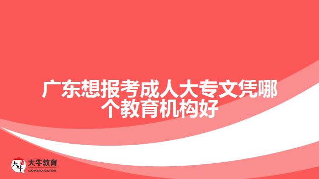 廣東想報(bào)考成人大專文憑哪個(gè)教育機(jī)構(gòu)好