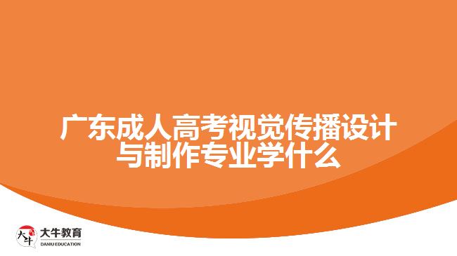 廣東成人高考視覺(jué)傳播設(shè)計(jì)與制作專(zhuān)業(yè)學(xué)什么