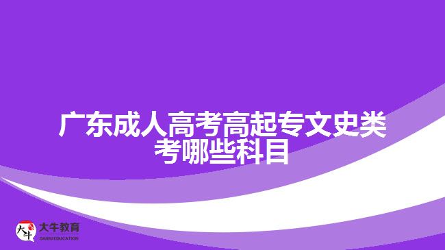 廣東成人高考高起專文史類考哪些科目