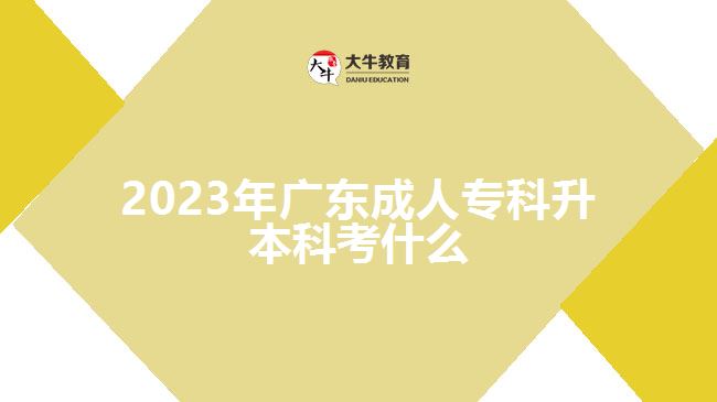 2023年廣東成人專科升本科考什么