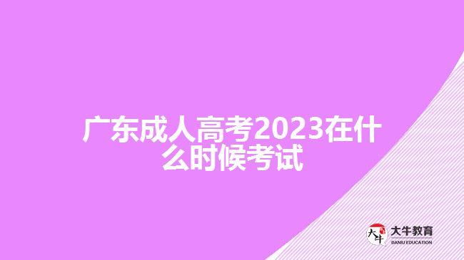 廣東成人高考2023在什么時候考試