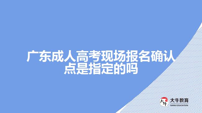 廣東成人高考現(xiàn)場報名確認點是指定的嗎