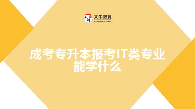 成考專升本報(bào)考IT類專業(yè)能學(xué)什么