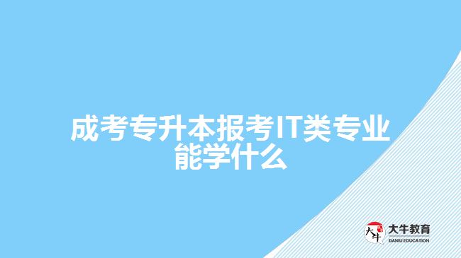 成考專升本報考IT類專業(yè)能學什么