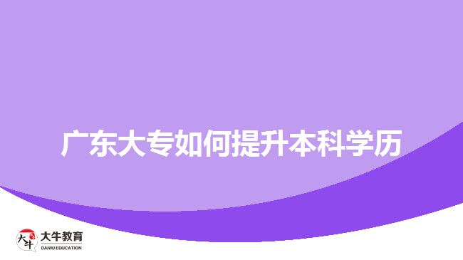 廣東大專如何提升本科學(xué)歷