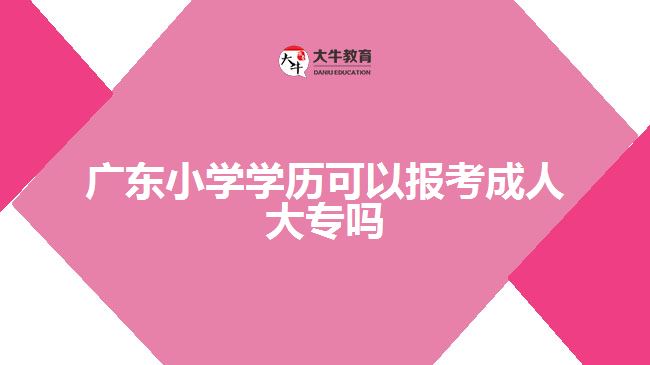 廣東小學(xué)學(xué)歷可以報(bào)考成人大專嗎