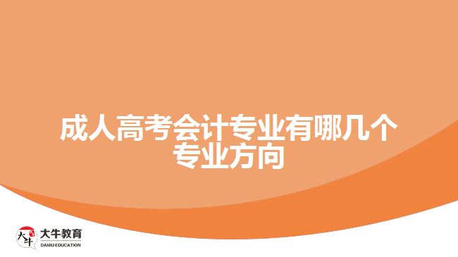 成人高考會(huì)計(jì)專業(yè)有哪幾個(gè)專業(yè)方向