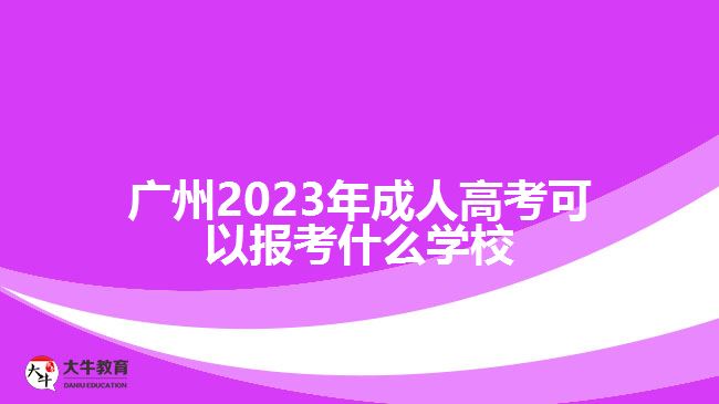 2023年成人高考可以報考什么學校