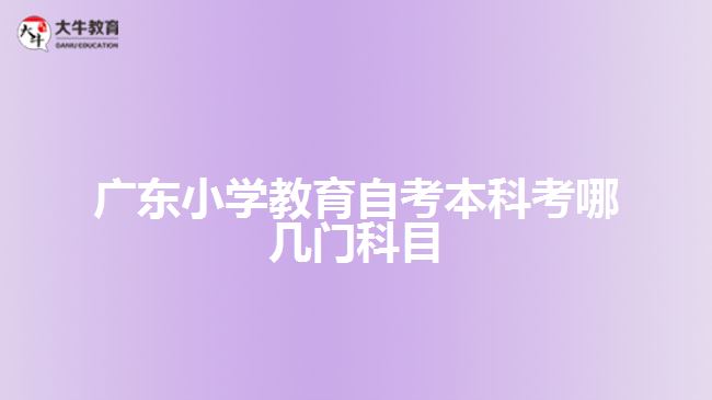 廣東小學(xué)教育自考本科考哪幾門科目