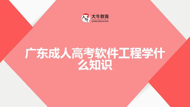 廣東成人高考軟件工程學(xué)什么知識(shí)