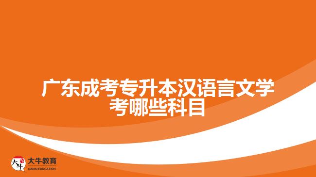 廣東成考專升本漢語(yǔ)言文學(xué)考哪些科目