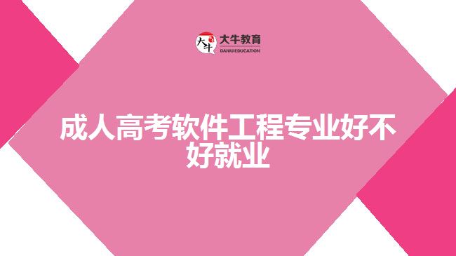 成人高考軟件工程專業(yè)好不好就業(yè)