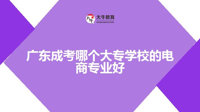 廣東成考哪個大專學校的電商專業(yè)好