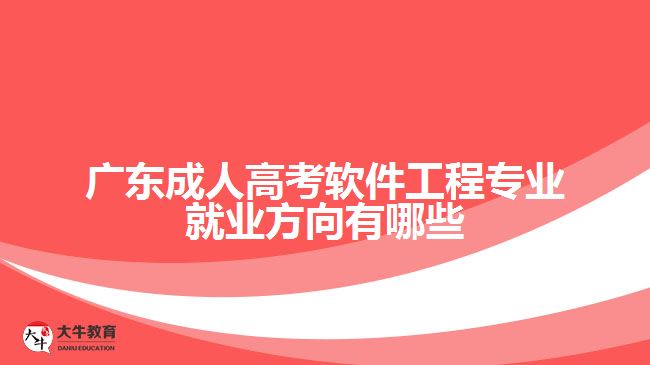 廣東成人高考軟件工程專業(yè)就業(yè)方向有哪些