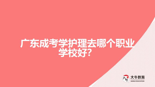 廣東成考學護理去哪個職業(yè)學校好？