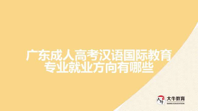 廣東成人高考漢語國(guó)際教育專業(yè)就業(yè)方向有哪些