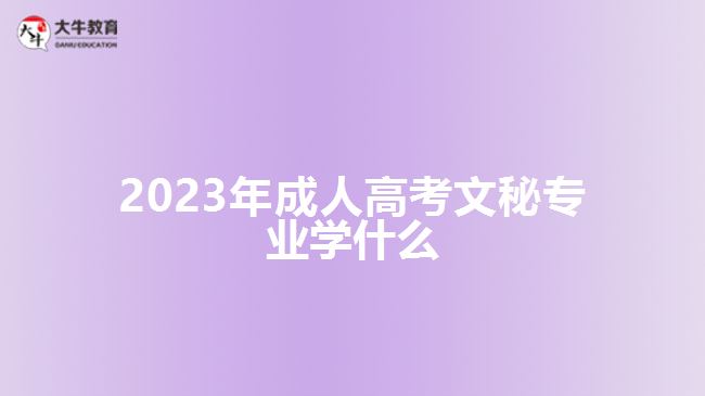 2023年成人高考文秘專業(yè)學(xué)什么