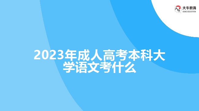 2023年成人高考本科大學語文考什么