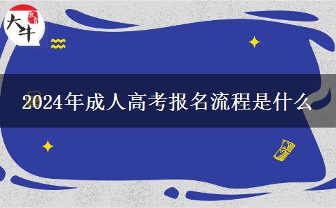 2024年成人高考報(bào)名流程是什么