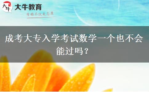 成考大專入學考試數(shù)學一個也不會能過嗎？