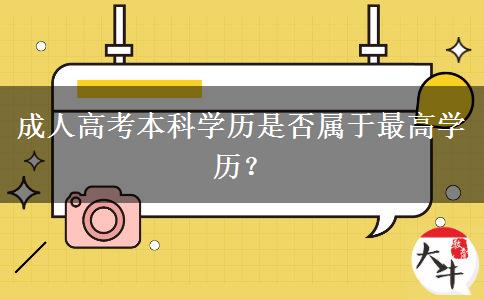 成人高考本科學(xué)歷是否屬于最高學(xué)歷？