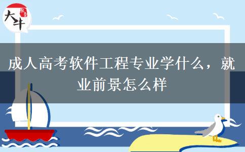 成人高考軟件工程專業(yè)學(xué)什么，就業(yè)前景怎么樣