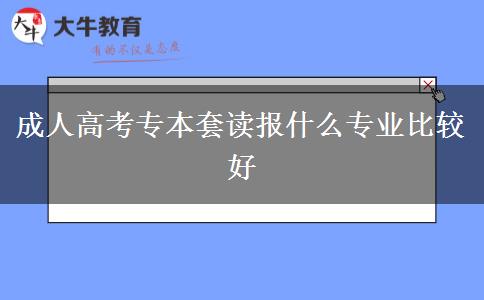 成人高考專本套讀報什么專業(yè)比較好