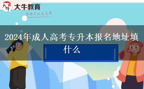 2024年成人高考專升本報(bào)名地址填什么