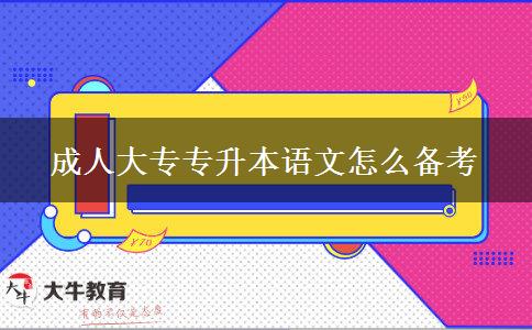 成人大專專升本語(yǔ)文怎么備考