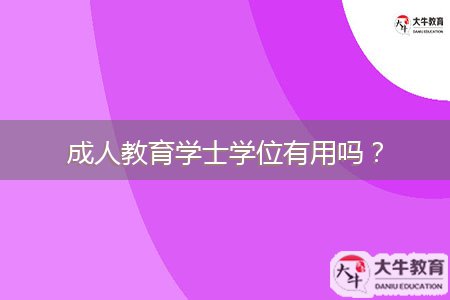 成人教育學(xué)士學(xué)位有用嗎？