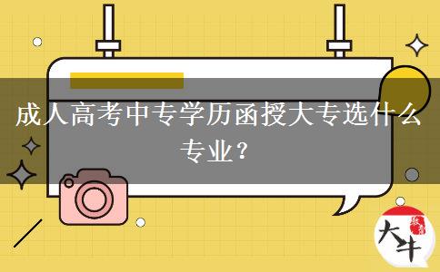 成人高考中專學(xué)歷函授大專選什么專業(yè)？