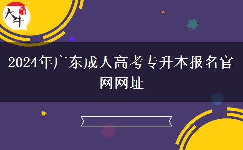 2024年廣東成人高考專升本報名官網(wǎng)網(wǎng)址