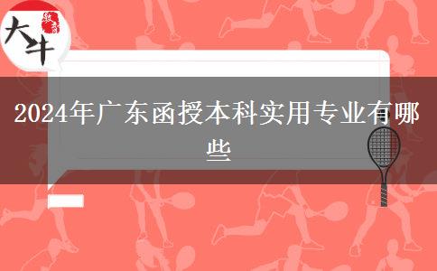 2024年廣東函授本科實用專業(yè)有哪些