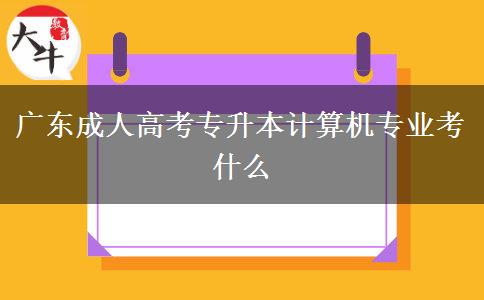 廣東成人高考專(zhuān)升本計(jì)算機(jī)專(zhuān)業(yè)考什么