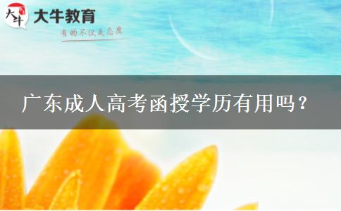 廣東成人高考函授學(xué)歷有用嗎？