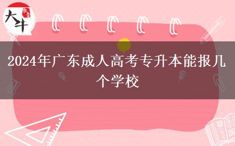 2024年廣東成人高考專升本能報幾個學校