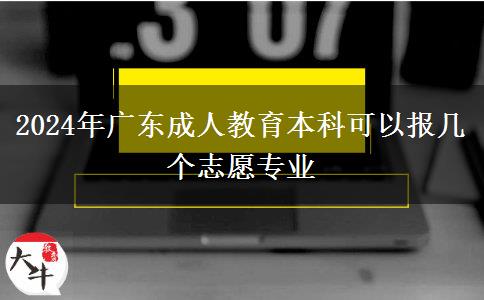 2024年廣東成人教育本科可以報幾個志愿專業(yè)