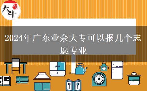 2024年廣東業(yè)余大?？梢詧?bào)幾個(gè)志愿專業(yè)