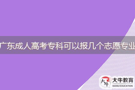 廣東成人高考?？瓶梢詧?bào)幾個(gè)志愿專業(yè)