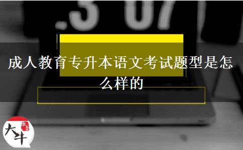 成人教育專升本語文考試題型是怎么樣的