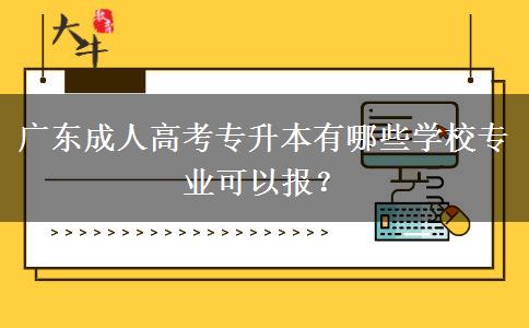 廣東成人高考專升本有哪些學(xué)校專業(yè)可以報？