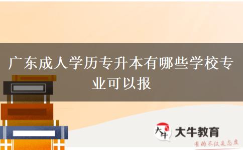 廣東成人學歷專升本有哪些學校專業(yè)可以報