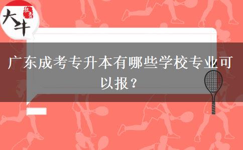 廣東成考專升本有哪些學校專業(yè)可以報？