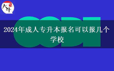 2024年成人專升本報(bào)名可以報(bào)幾個(gè)學(xué)校