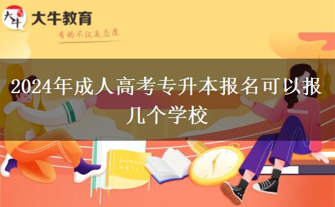 2024年成人高考專升本報(bào)名可以報(bào)幾個(gè)學(xué)校