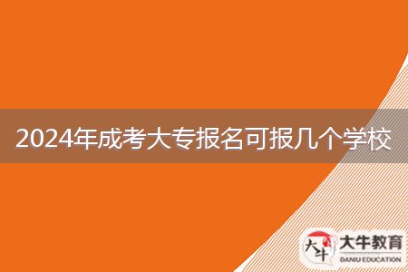 2024年成考大專報名可報幾個學校